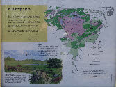 wpc59ba058_28.jpg